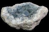 Blue Celestine (Celestite) Crystal Geode - Madagascar #70836-2